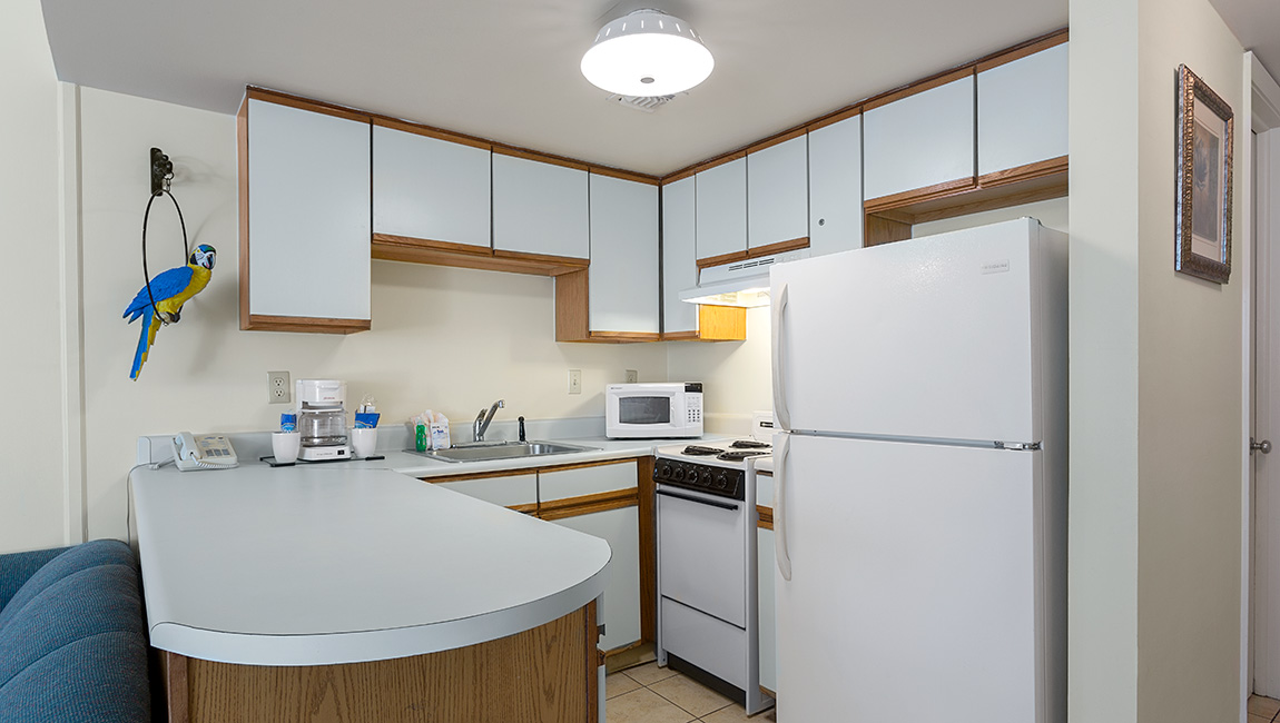 Suite kitchen